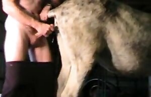 Video Zoofilia với Hardcore humping